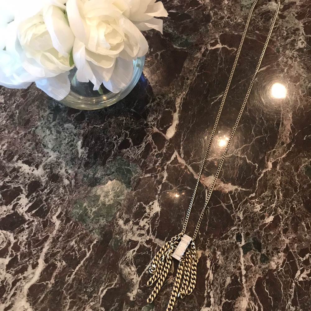 Banana Republic long chain pendant necklace